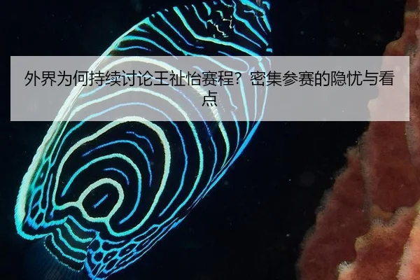 wai-jie-wei-he-chi-xu-tao-lun-wang-zhi-yi-sai-cheng-mi-ji-can-sai-de-yin-you-yu-kan-dian-2-115.jpg